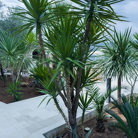 Luxury Beachfront Matista Affittacamere