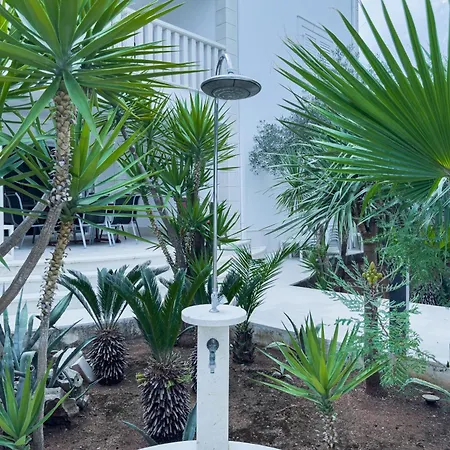 Luxury Beachfront Matista טרוגיר